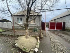 Фото новости