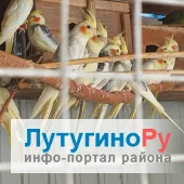 Объявление Попугаи породы Корелла - в разделе Птицы в Лутугино и Лутугинском районе