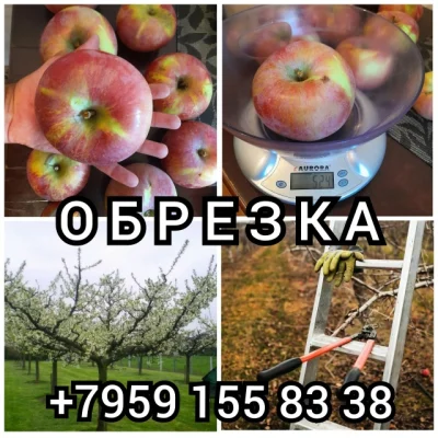 Фото услуги
