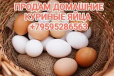 Фото новости