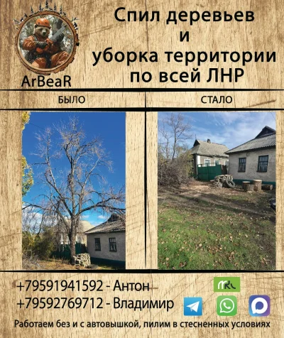 Фото услуги