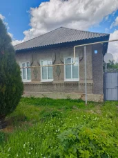 Фото новости