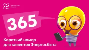 Фото новости