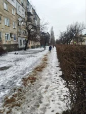 Фотогалерея к новости