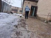 Фотогалерея к новости