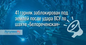 Фото новости