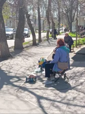 Фотогалерея к новости