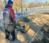 Фотогалерея к новости