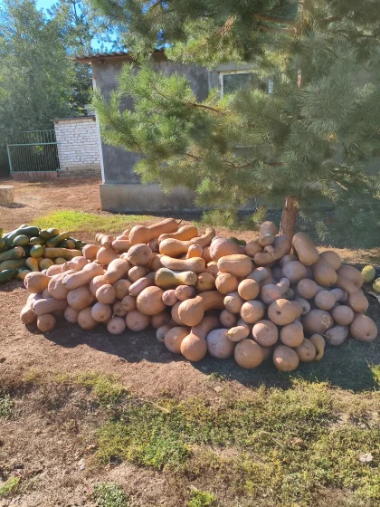 Фото услуги